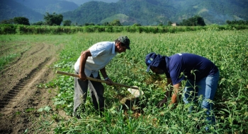 Agricultura familiar é 8ª maior produtora de alimentos do mundo